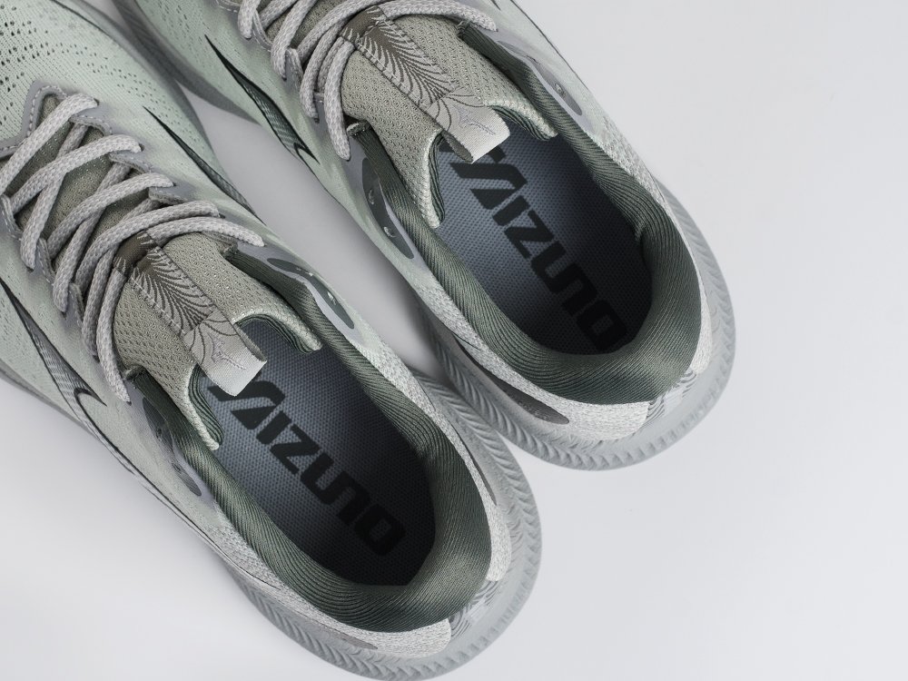 Кроссовки Mizuno ASTRO PLUS